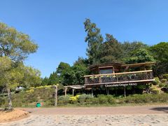 -漳州滨海火山岛自然生态风景区