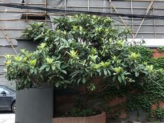 -宝山路(地铁站)