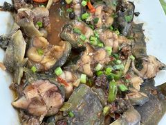 -金丰美食(鹤城生态美食长廊店)