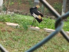 -石家庄市动物园