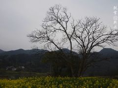 -新安江山水画廊风景区