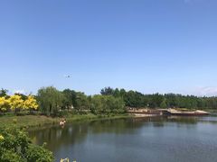 -东郊湿地公园