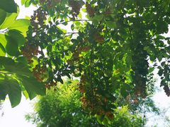 -水云间·园林餐厅(大龙店)