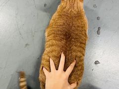 -蓝天射箭馆·专业射箭运动(诚丰广场店)