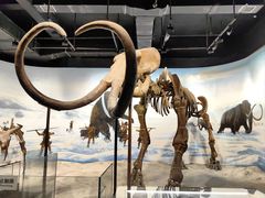 -辽宁古生物博物馆