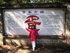 -北海金海湾红树林生态旅游区