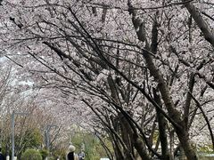-南京四方酒店-傲途格精选·椽宫中餐厅