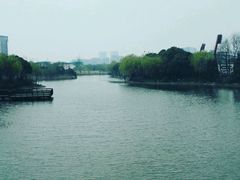 -新江湾城公园
