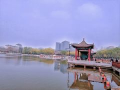 -莲花池公园