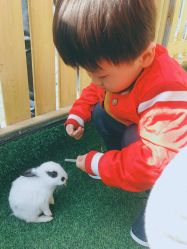 -萌宠亲子动物乐园(槐房万达店)