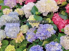 -双季花艺园艺市场(浦东店)