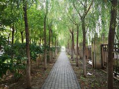 -海清宁记大馅云吞