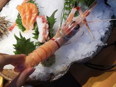 -割烹旭日本料理(龙湖狮山天街店)