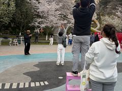 -杭州少年儿童公园