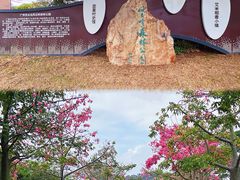 -风云岭森林公园