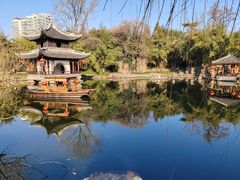 -水绘园