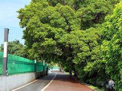 -渔洲头食苑·旦家园全笋宴农家乐