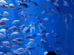 -成都浩海立方海洋公园