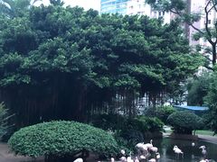 -九龙公园