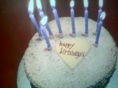 -维尔纳斯·生日蛋糕·动物奶油冰淇淋蛋糕(六里桥店)
