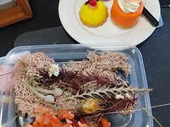 -北京之星奔驰4S店(亦庄店)