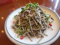 香椿苗-朝鲜玉流馆(滨河东路店)