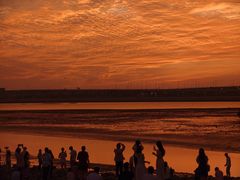 -宝安西湾红树林湿地公园