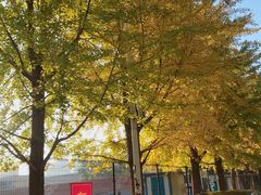 -辽宁大学(崇山校区)