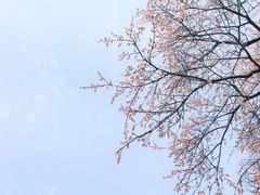 -少华山国家森林公园