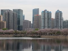 -西北湖绿化广场