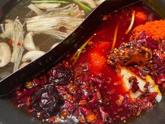 -朱光玉火锅馆(正弘城店)