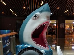 -SFC上影影城(杭州下沙IMAX店)