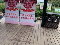 -亚龙湾国际玫瑰谷