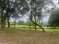 -福建鲤鱼洲酒店