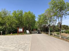 -东郊湿地公园
