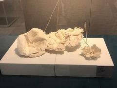 -浙江西湖美术馆