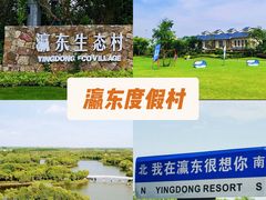 -东平国家森林公园