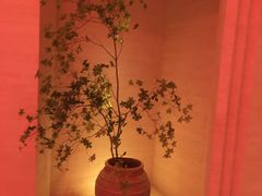 -舒小悦·舒养SPA·古法推拿(光环中心店)