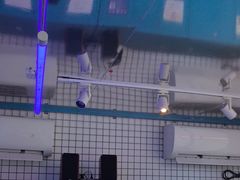 -移动谜城·大笨象密室逃脱(五棵松店)