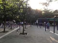 -西安市长乐公园