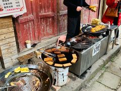 -尧坝古镇