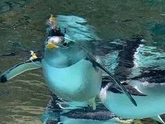 -成都浩海立方海洋公园