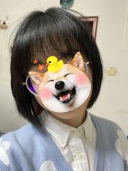 -竹马造型工作室