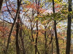 -丹东天桥沟景区