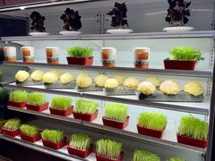 -番食园鲜食火锅(高新店)