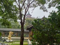 -绳金塔