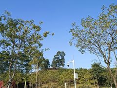 -白石龙音乐公园