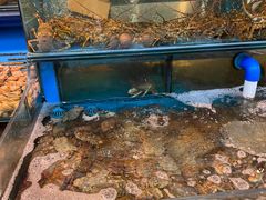 -谊荣海鲜大牌档(石湖店)