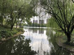 -杭州城北体育公园