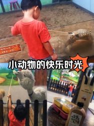 -未来动物城动物主题公园(大悦城店)